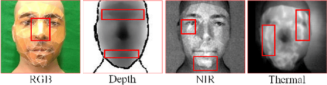Figure 3 for FM-ViT: Flexible Modal Vision Transformers for Face Anti-Spoofing