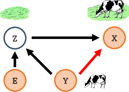 Figure 4 for Direct-Effect Risk Minimization for Domain Generalization