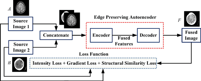 Figure 2 for Multi-modal Medical Neurological Image Fusion using Wavelet Pooled Edge Preserving Autoencoder