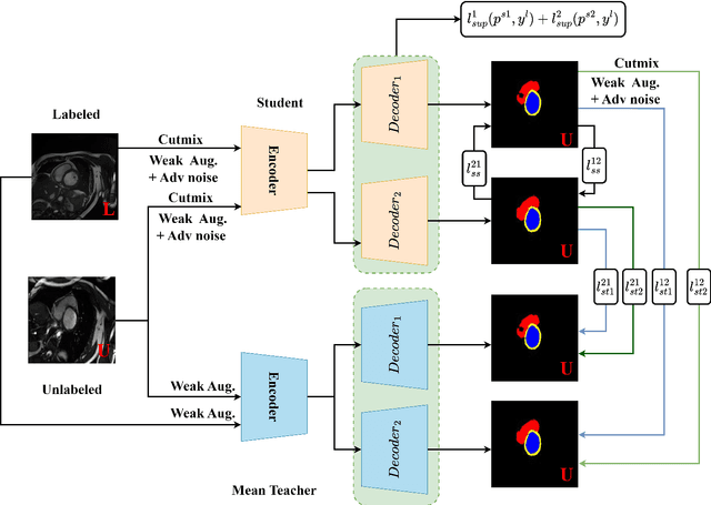 Figure 1 for Cross-head mutual Mean-Teaching for semi-supervised medical image segmentation