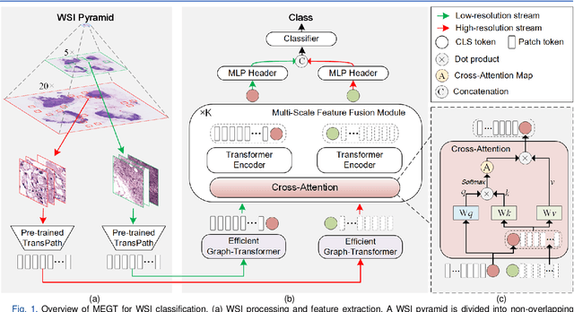 Figure 1 for Multi-scale Efficient Graph-Transformer for Whole Slide Image Classification