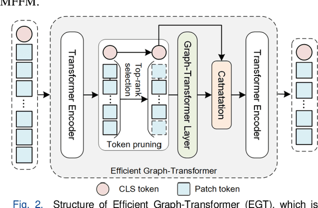Figure 2 for Multi-scale Efficient Graph-Transformer for Whole Slide Image Classification