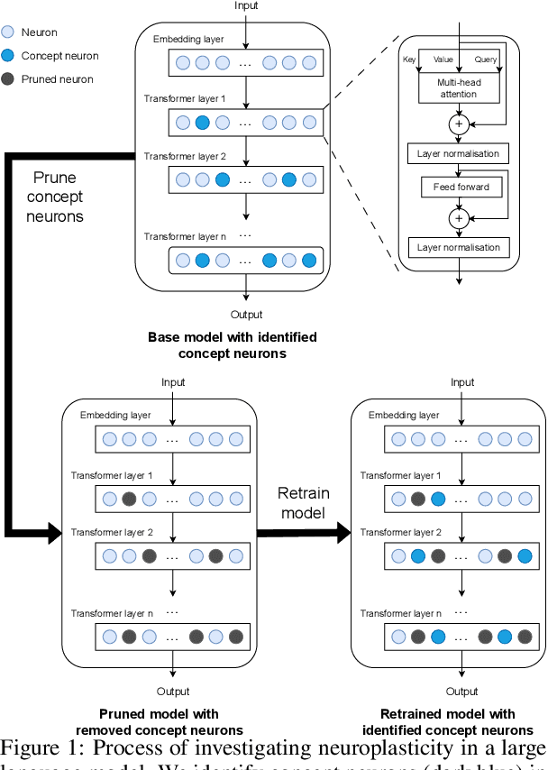 Figure 1 for Large Language Models Relearn Removed Concepts