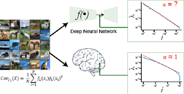 Figure 1 for Investigating Power laws in Deep Representation Learning
