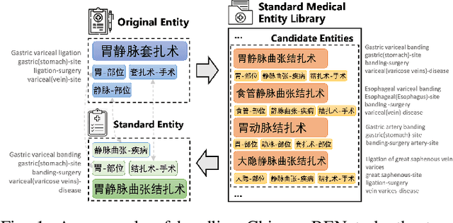 Figure 1 for Knowledge-injected Prompt Learning for Chinese Biomedical Entity Normalization