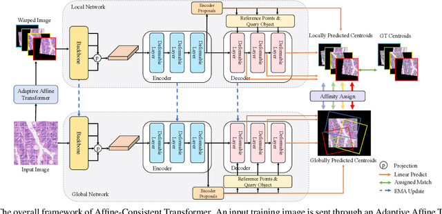 Figure 3 for Affine-Consistent Transformer for Multi-Class Cell Nuclei Detection