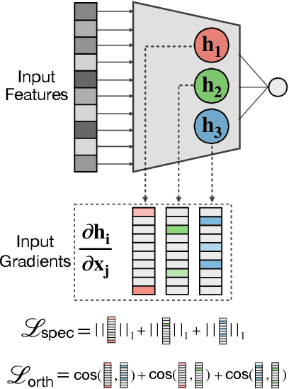 Figure 3 for TANGOS: Regularizing Tabular Neural Networks through Gradient Orthogonalization and Specialization
