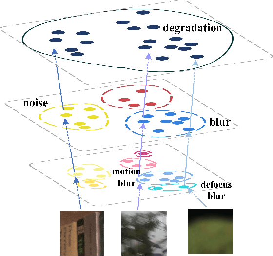 Figure 1 for All-in-one Multi-degradation Image Restoration Network via Hierarchical Degradation Representation