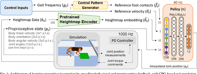 Figure 1 for Perceptive Locomotion with Controllable Pace and Natural Gait Transitions Over Uneven Terrains