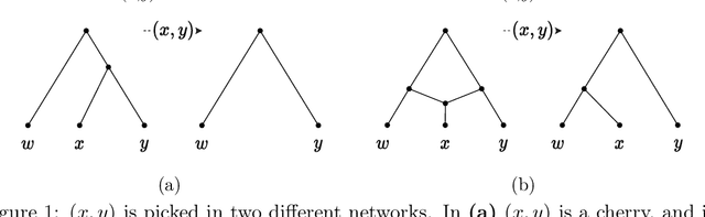 Figure 1 for Constructing Phylogenetic Networks via Cherry Picking and Machine Learning