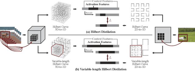 Figure 3 for Hilbert Distillation for Cross-Dimensionality Networks