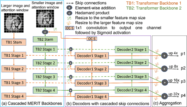 Figure 1 for Multi-scale Hierarchical Vision Transformer with Cascaded Attention Decoding for Medical Image Segmentation
