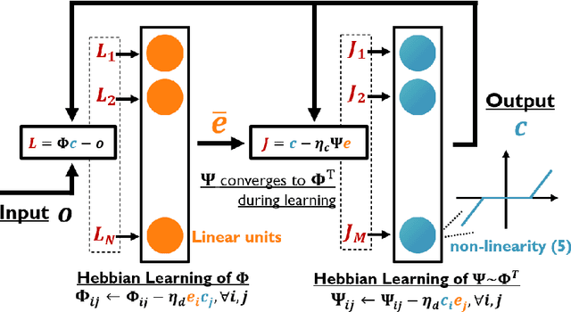 Figure 1 for Active Inference in Hebbian Learning Networks