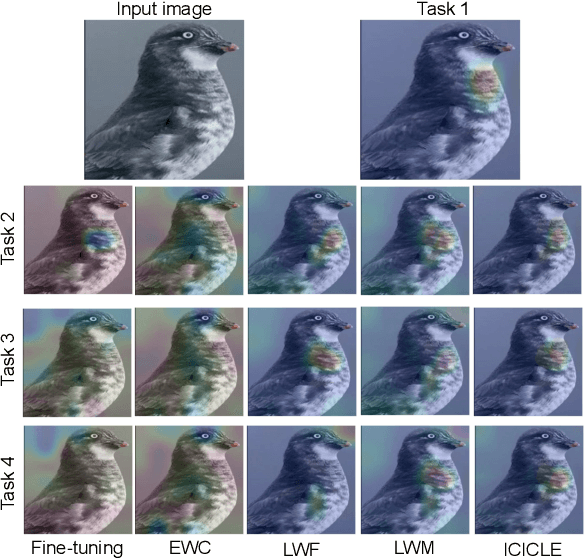 Figure 1 for ICICLE: Interpretable Class Incremental Continual Learning