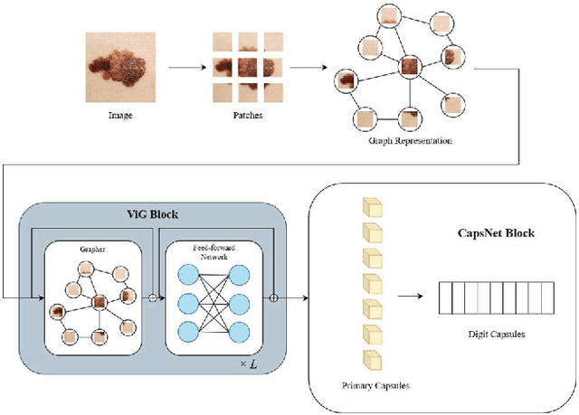 Figure 1 for Leveraging Spatial and Semantic Feature Extraction for Skin Cancer Diagnosis with Capsule Networks and Graph Neural Networks