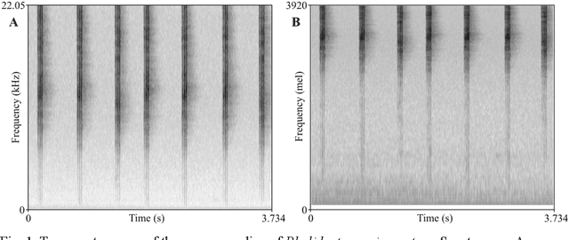 Figure 1 for Adaptive Representations of Sound for Automatic Insect Recognition