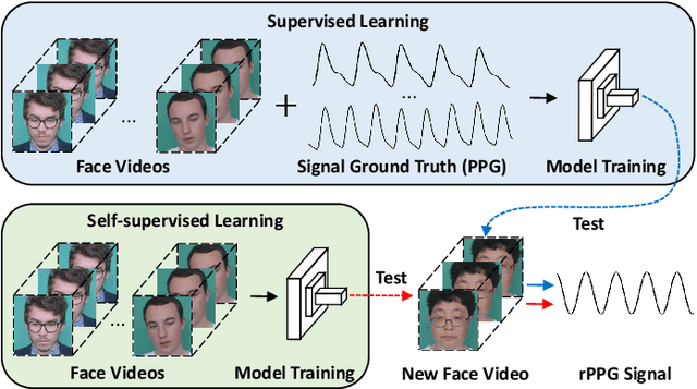 Figure 1 for Video-based Remote Physiological Measurement via Self-supervised Learning