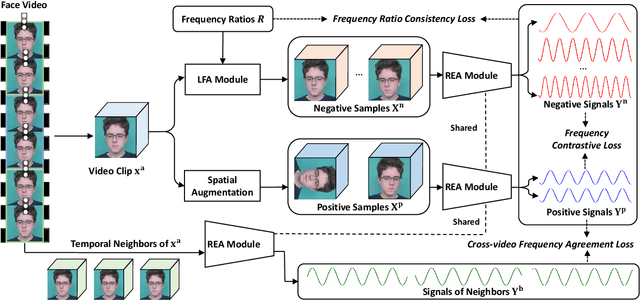 Figure 3 for Video-based Remote Physiological Measurement via Self-supervised Learning