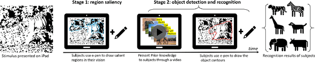 Figure 2 for Important Clues that Facilitate Visual Emergence: Three Psychological Experiments