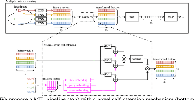 Figure 1 for Deep Multiple Instance Learning with Distance-Aware Self-Attention
