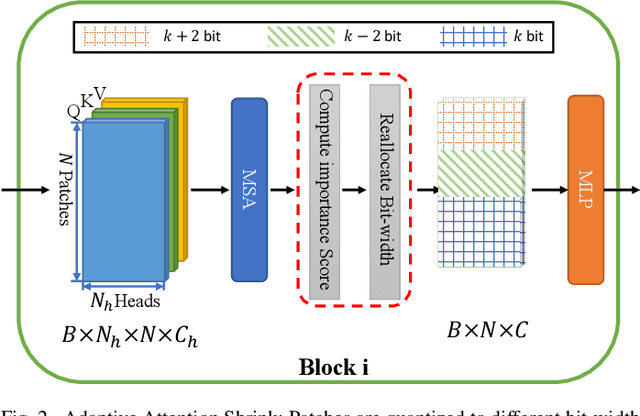 Figure 2 for Patch-wise Mixed-Precision Quantization of Vision Transformer