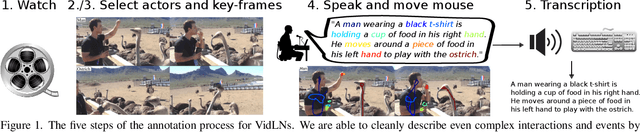 Figure 1 for Connecting Vision and Language with Video Localized Narratives