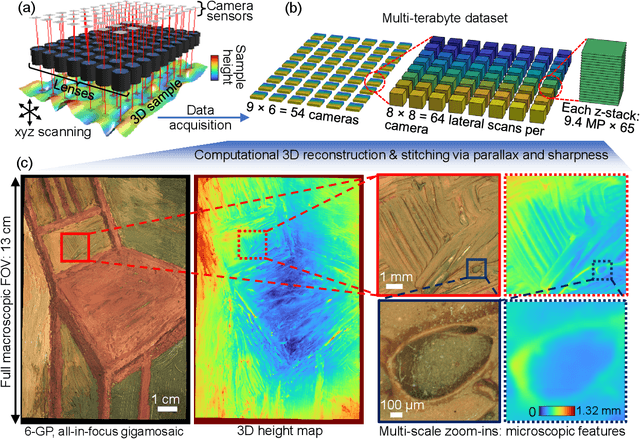 Figure 1 for Computational 3D topographic microscopy from terabytes of data per sample