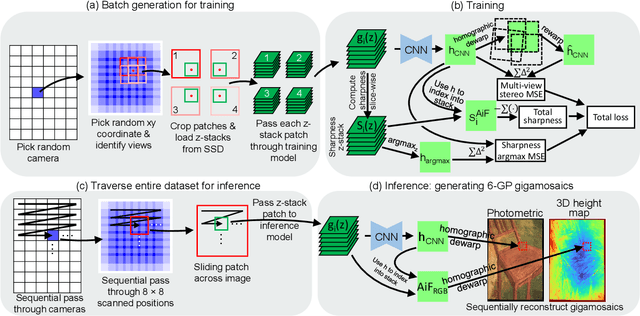 Figure 3 for Computational 3D topographic microscopy from terabytes of data per sample