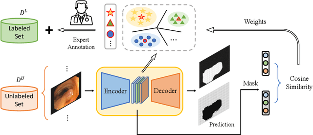 Figure 1 for Annotation-Efficient Polyp Segmentation via Active Learning