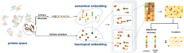 Figure 1 for Multi-level Protein Representation Learning for Blind Mutational Effect Prediction