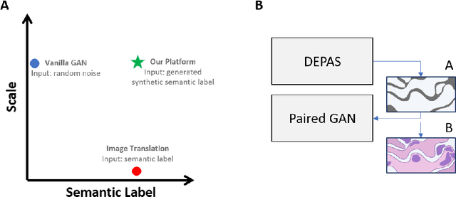 Figure 1 for DEPAS: De-novo Pathology Semantic Masks using a Generative Model