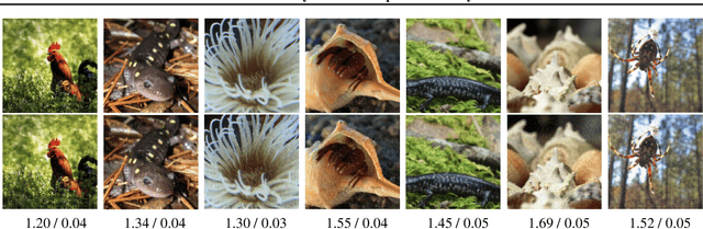 Figure 1 for R-LPIPS: An Adversarially Robust Perceptual Similarity Metric