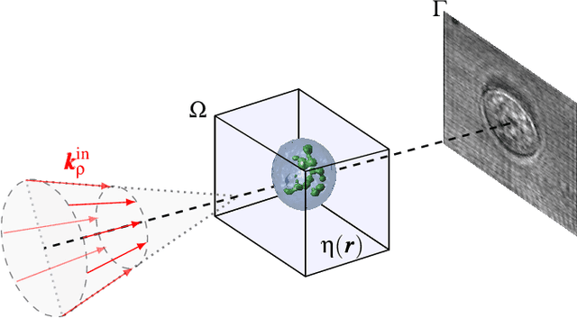 Figure 2 for A Mini-Batch Quasi-Newton Proximal Method for Constrained Total-Variation Nonlinear Image Reconstruction