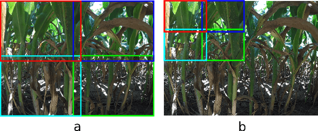Figure 3 for On the Real-Time Semantic Segmentation of Aphid Clusters in the Wild