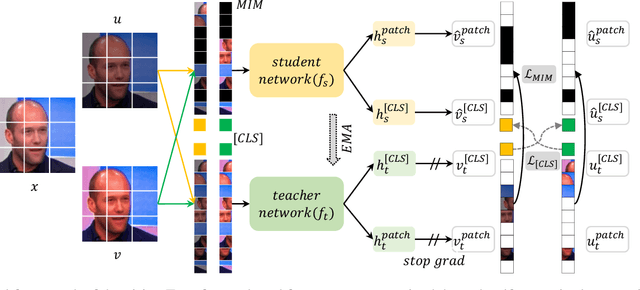 Figure 2 for Self-Supervised Graph Transformer for Deepfake Detection