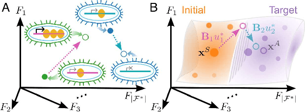 Figure 1 for Cell reprogramming design by transfer learning of functional transcriptional networks