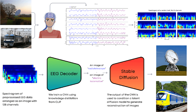 Figure 1 for Decoding visual brain representations from electroencephalography through Knowledge Distillation and latent diffusion models
