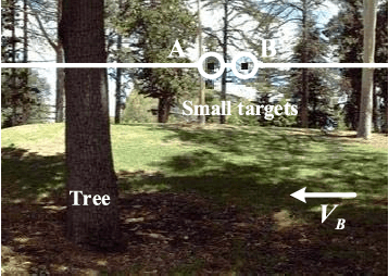 Figure 3 for An Attention and Prediction Guided Visual System for Small Target Motion Detection in Complex Natural Environments