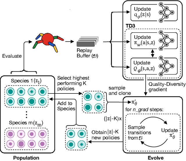 Figure 1 for Efficient Quality-Diversity Optimization through Diverse Quality Species