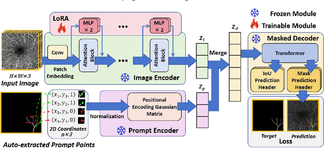 Figure 1 for SAM-OCTA: Prompting Segment-Anything for OCTA Image Segmentation