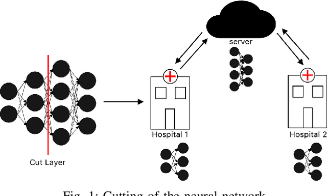 Figure 1 for Multi-limb Split Learning for Tumor Classification on Vertically Distributed Data