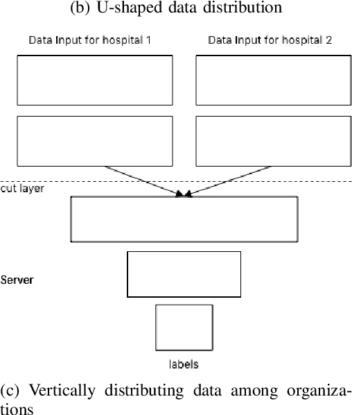 Figure 2 for Multi-limb Split Learning for Tumor Classification on Vertically Distributed Data