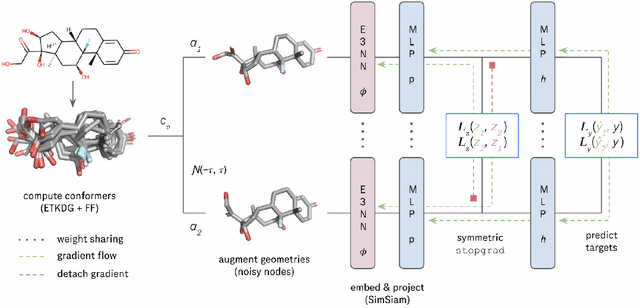 Figure 1 for SupSiam: Non-contrastive Auxiliary Loss for Learning from Molecular Conformers