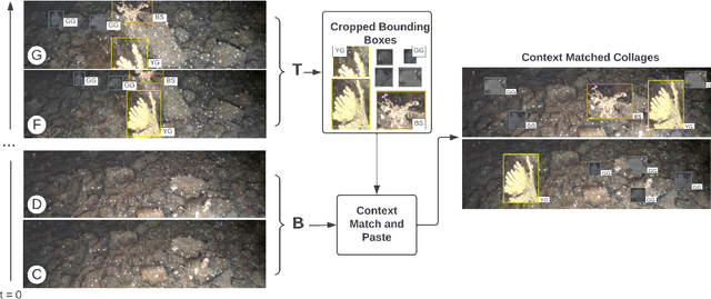 Figure 2 for Context-Matched Collage Generation for Underwater Invertebrate Detection
