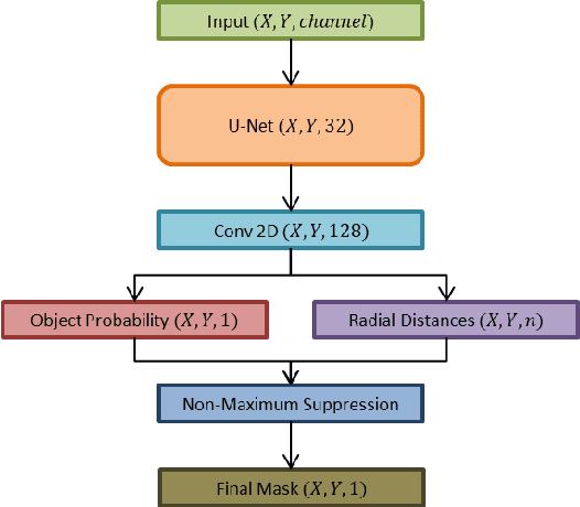 Figure 1 for Uncertainty Estimation in Instance Segmentation with Star-convex Shapes