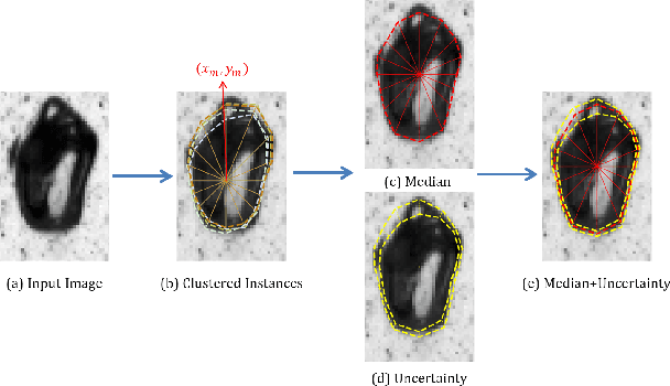 Figure 4 for Uncertainty Estimation in Instance Segmentation with Star-convex Shapes