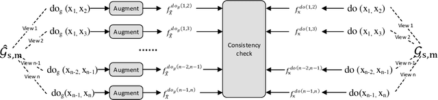 Figure 3 for SSL Framework for Causal Inconsistency between Structures and Representations