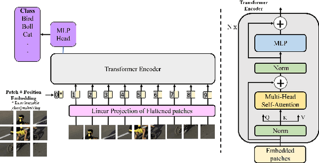 Figure 4 for Transformers in Single Object Tracking: An Experimental Survey