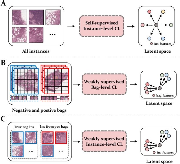 Figure 2 for Rethinking Multiple Instance Learning for Whole Slide Image Classification: A Good Instance Classifier is All You Need