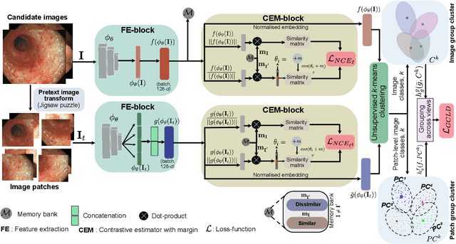 Figure 2 for SSL-CPCD: Self-supervised learning with composite pretext-class discrimination for improved generalisability in endoscopic image analysis